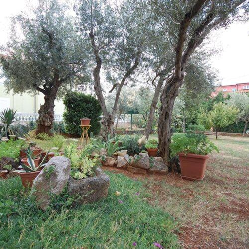 Apartman Dorcic Malinska Εξωτερικό φωτογραφία